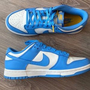 Nike dunk low “COAST”